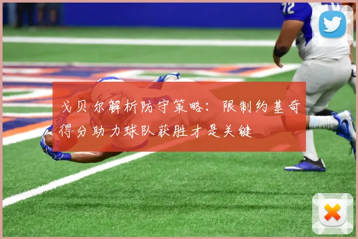 戈贝尔解析防守策略：限制约基奇得分助力球队获胜才是关键