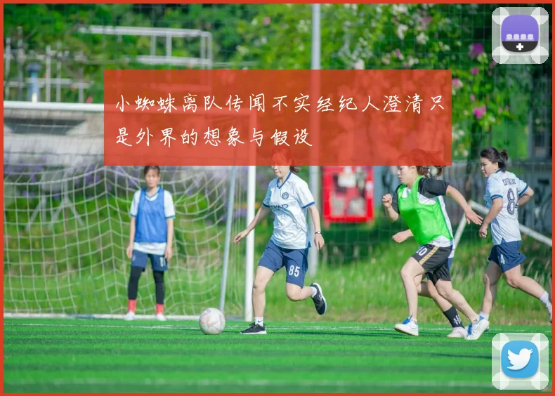 小蜘蛛离队传闻不实经纪人澄清只是外界的想象与假设