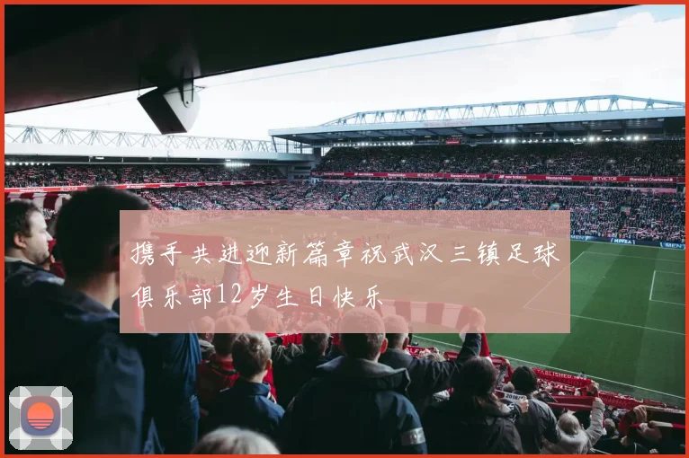 携手共进迎新篇章祝武汉三镇足球俱乐部12岁生日快乐