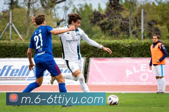 6T体育服务体系